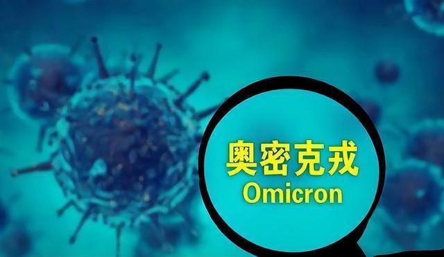 集腋成裘，不務空名。土豪劣紳大惡人打一个准确生肖精选解析、解释与落实、科学解答解释落实