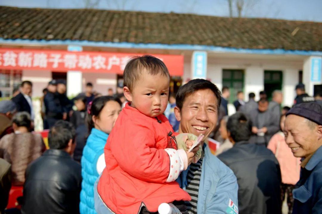 万马奔腾打一个正确生肖的警惕虚假宣传-全面释义、构建解答解释落实