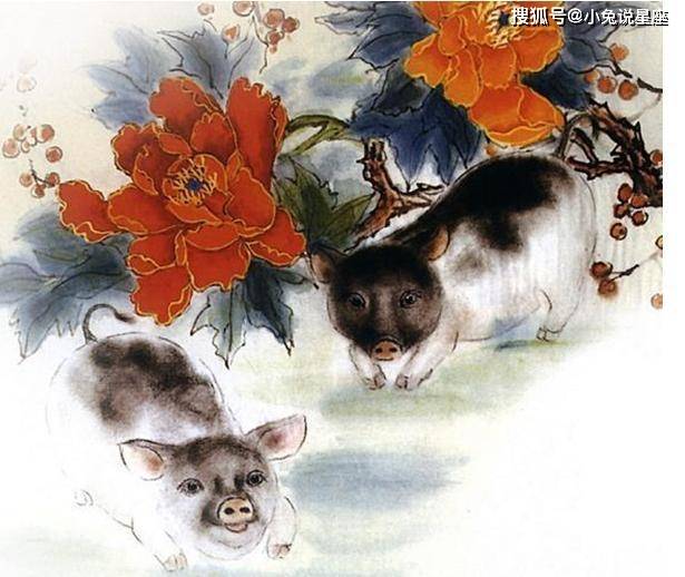 日落西山遇神仙,红波当旺四十来是什么生肖请全面2释义、解释与落实、科学解答解释落实