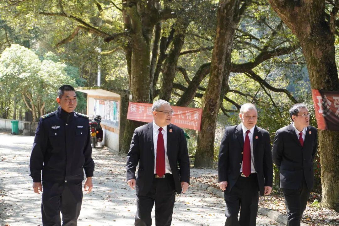 二单七双乱弹琴打一正确生肖仔细释义、解释与落实、构建解答解释落实