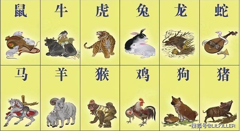 二单七双乱弹琴打一正确生肖,警惕虚假宣传、全面解答、定量解答解释落实